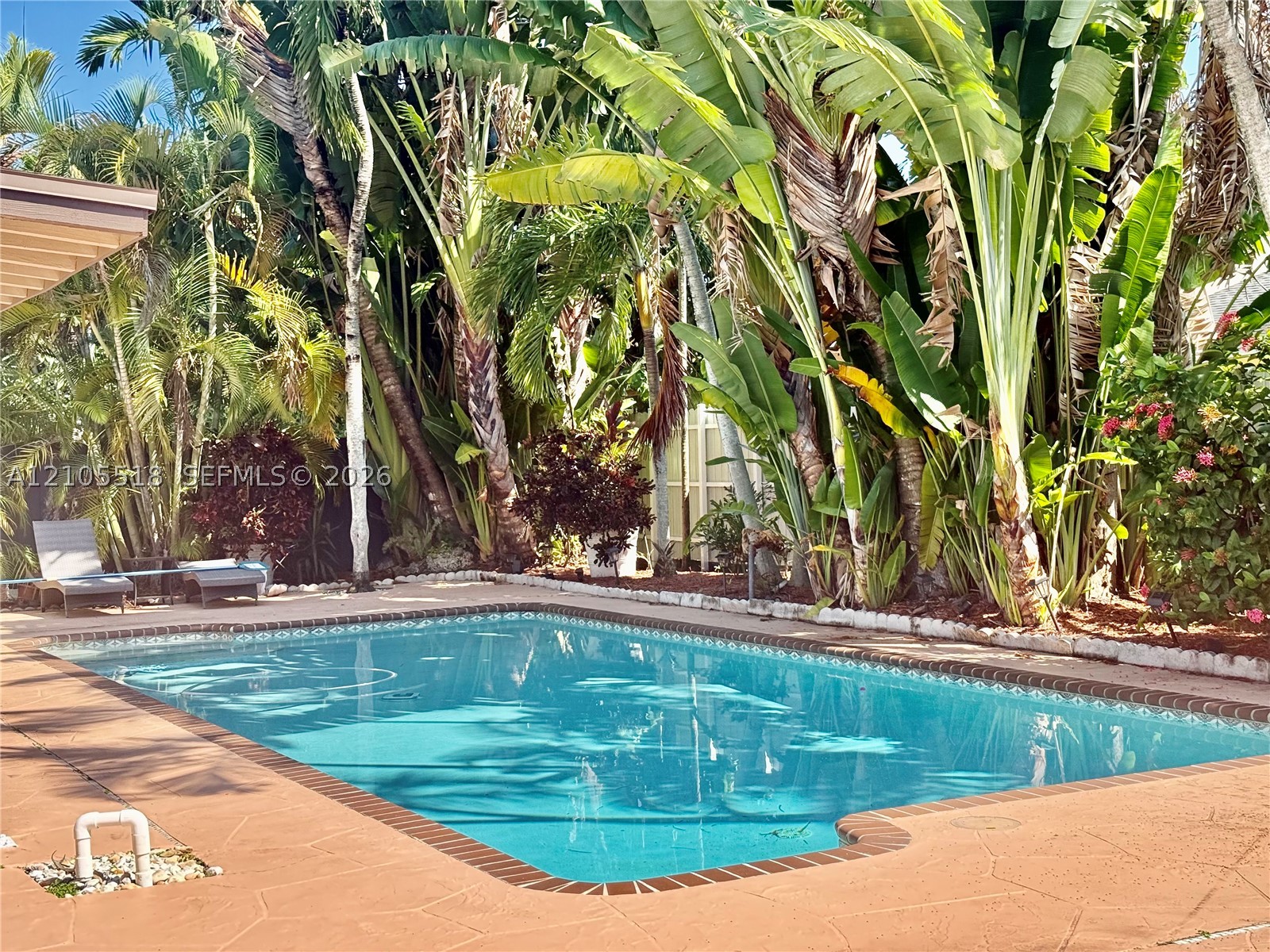 Miami photo 2