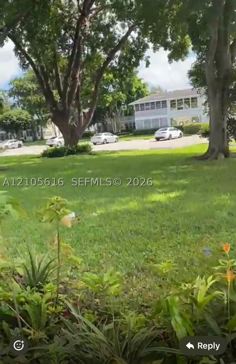 Deerfield Beach photo 3
