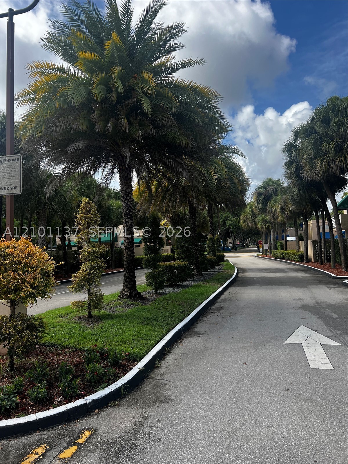 Miami photo 2