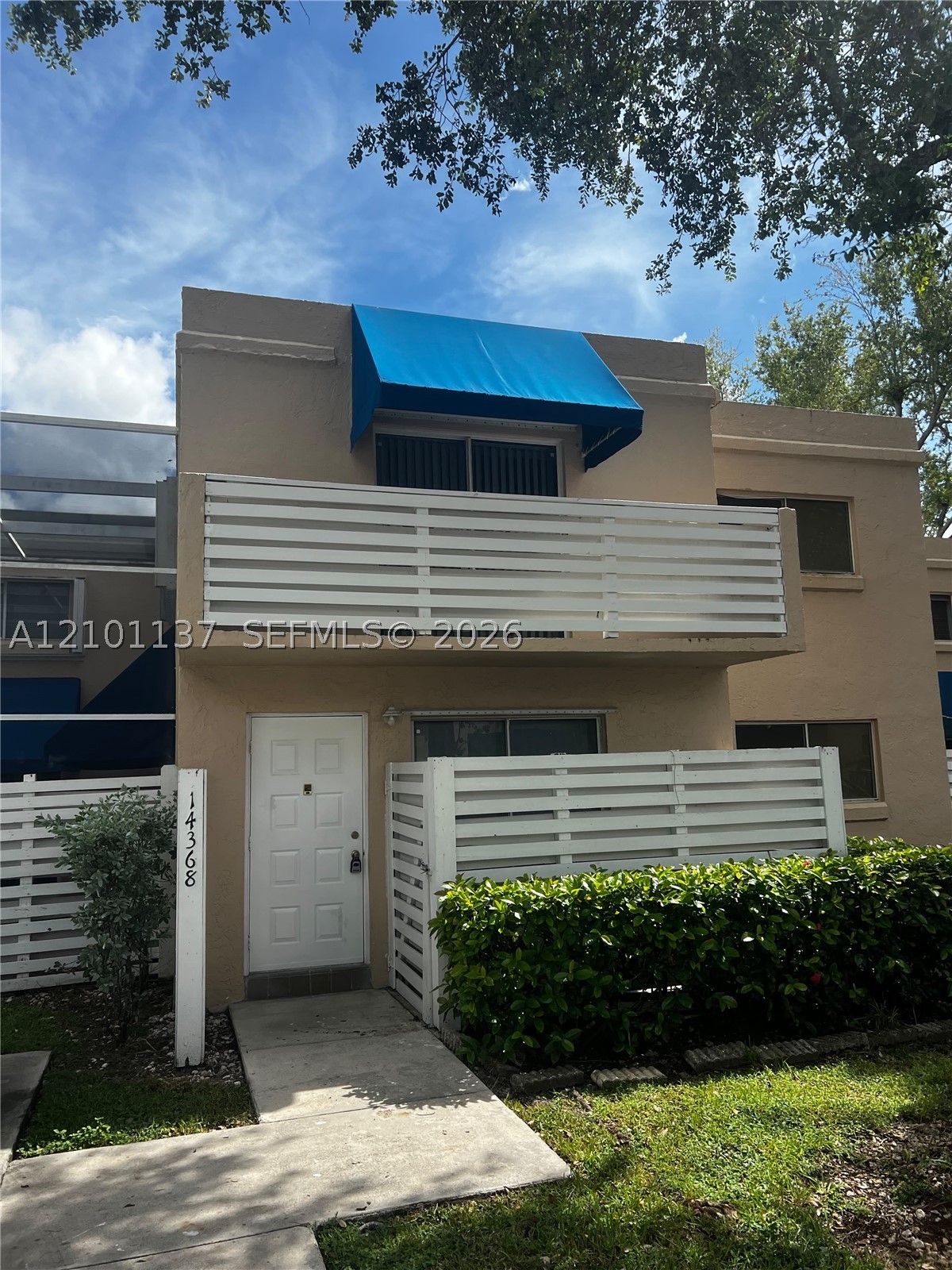 Miami photo 3