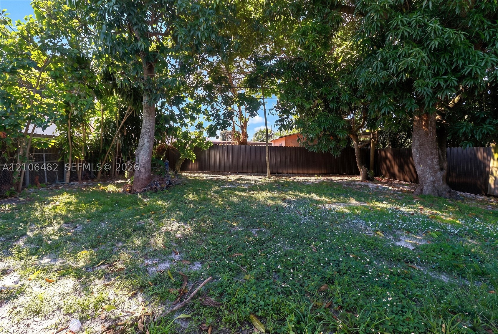 Miami photo 5