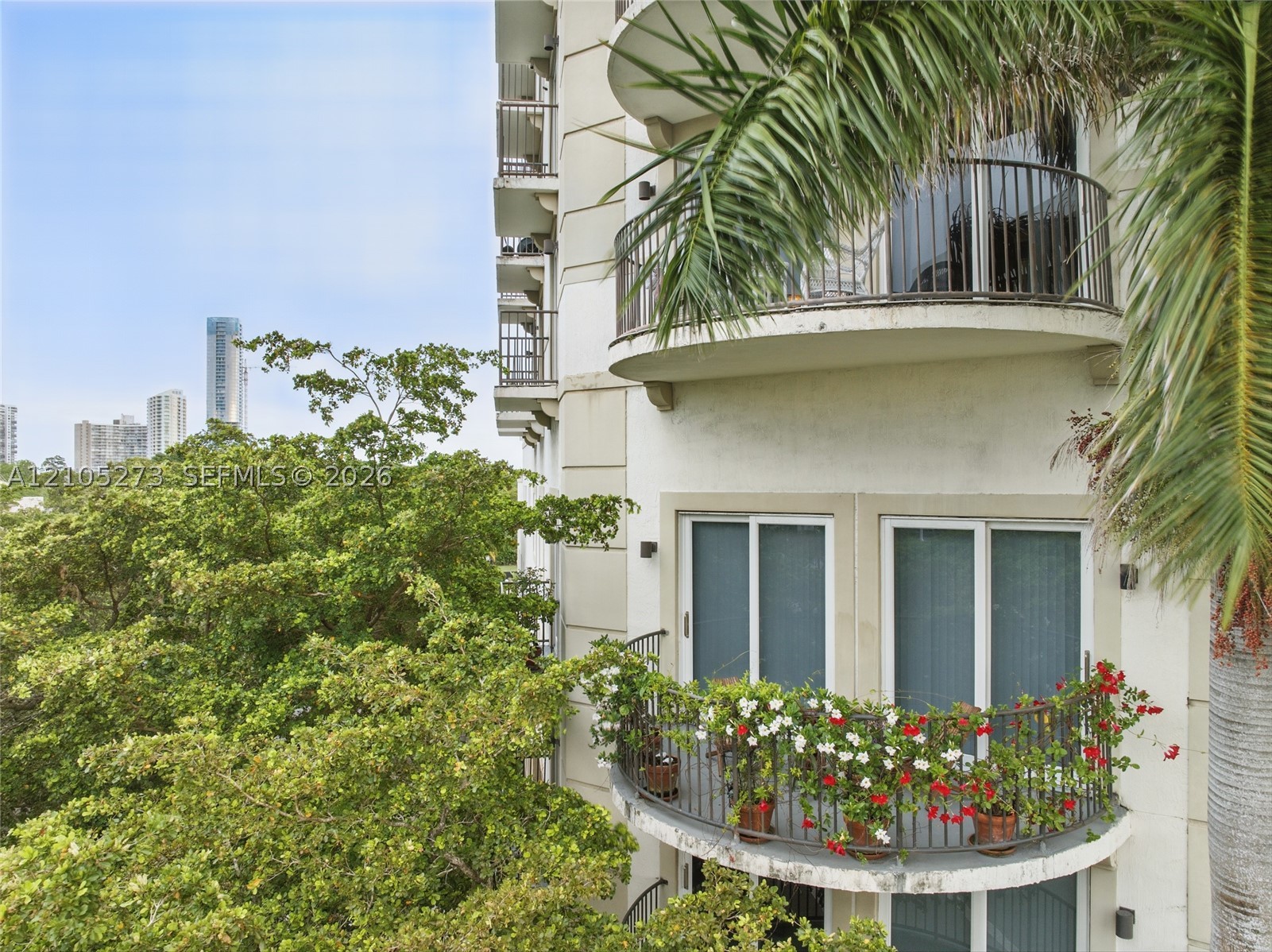 Miami photo 3
