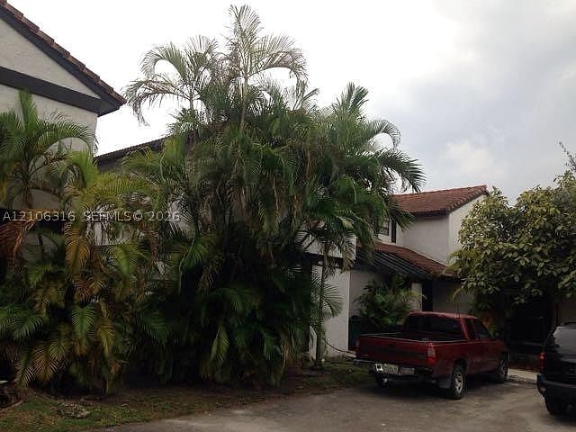 Miami photo 2