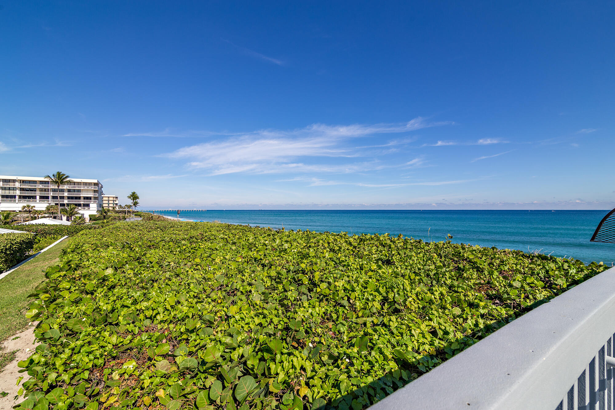 Palm Beach photo 2