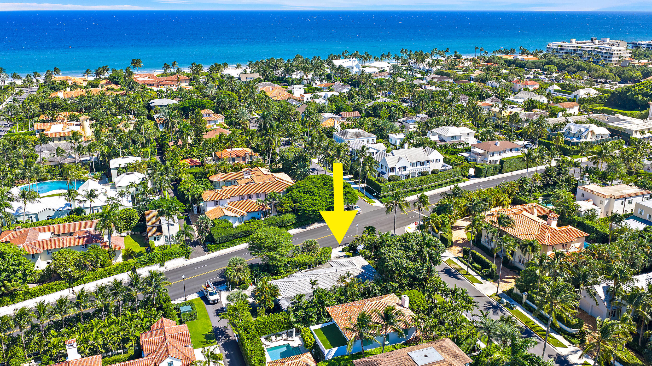 Palm Beach photo 3