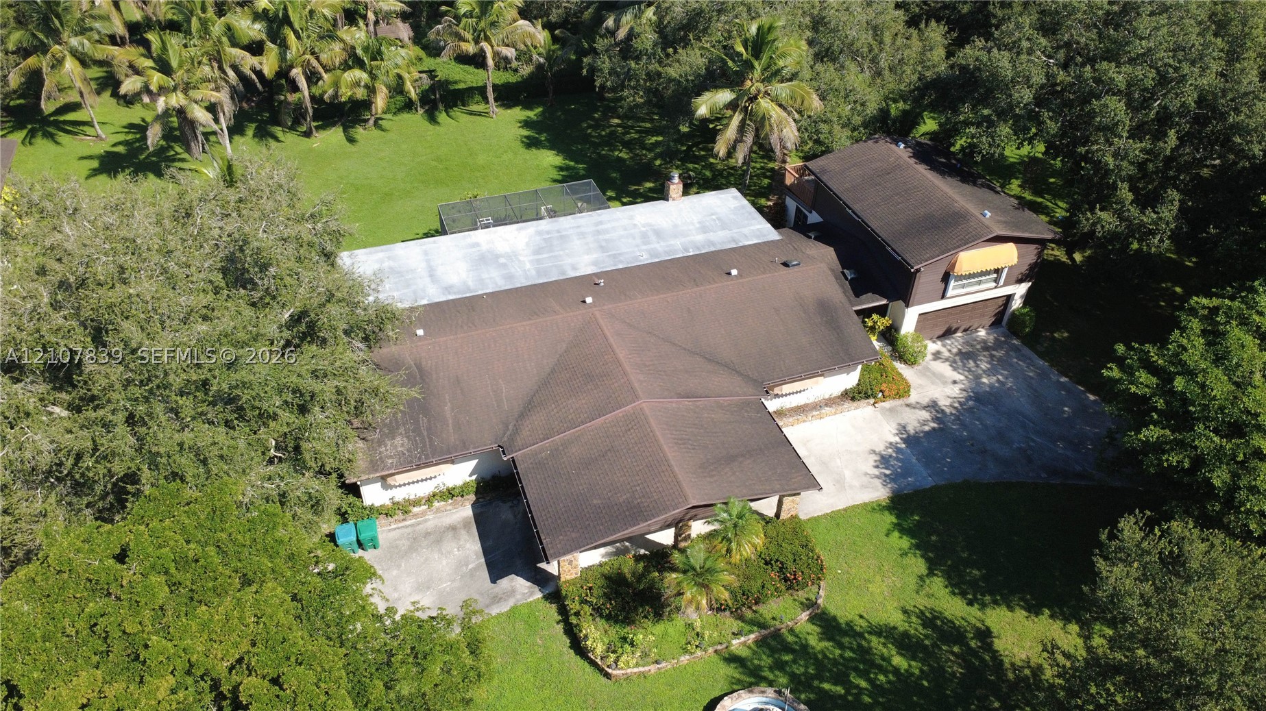 Plantation photo 4