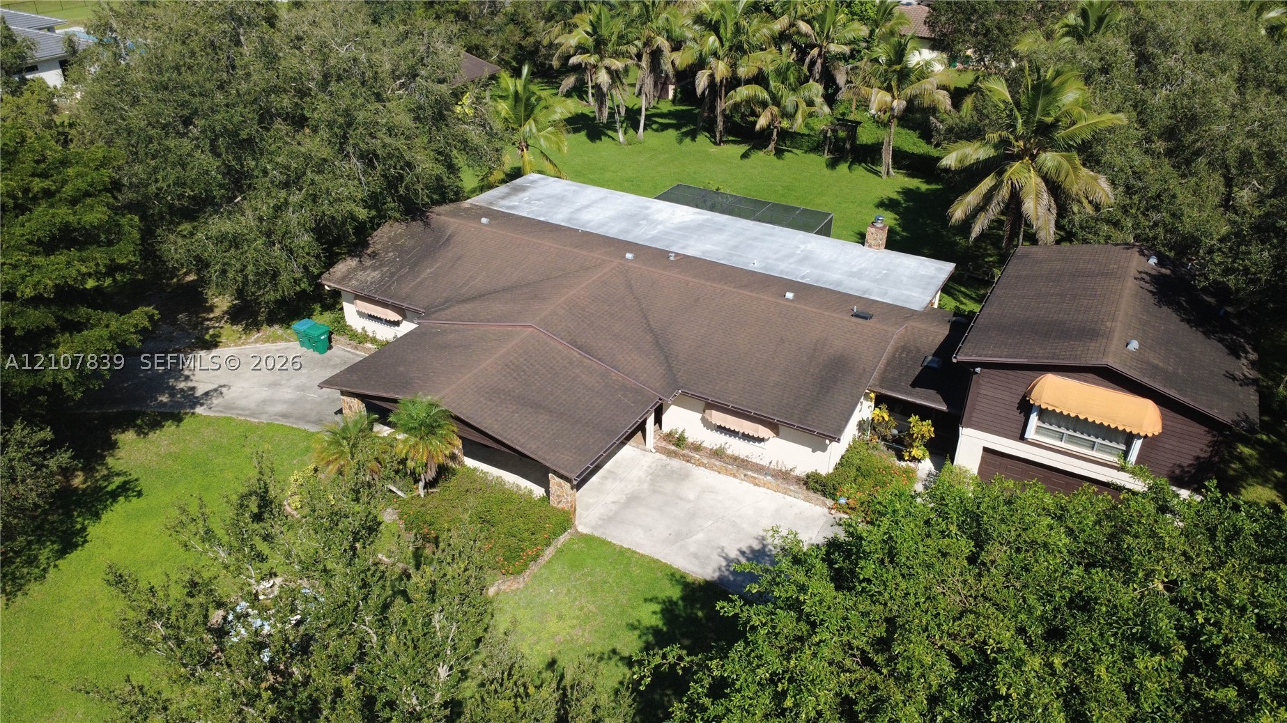 Plantation photo 5