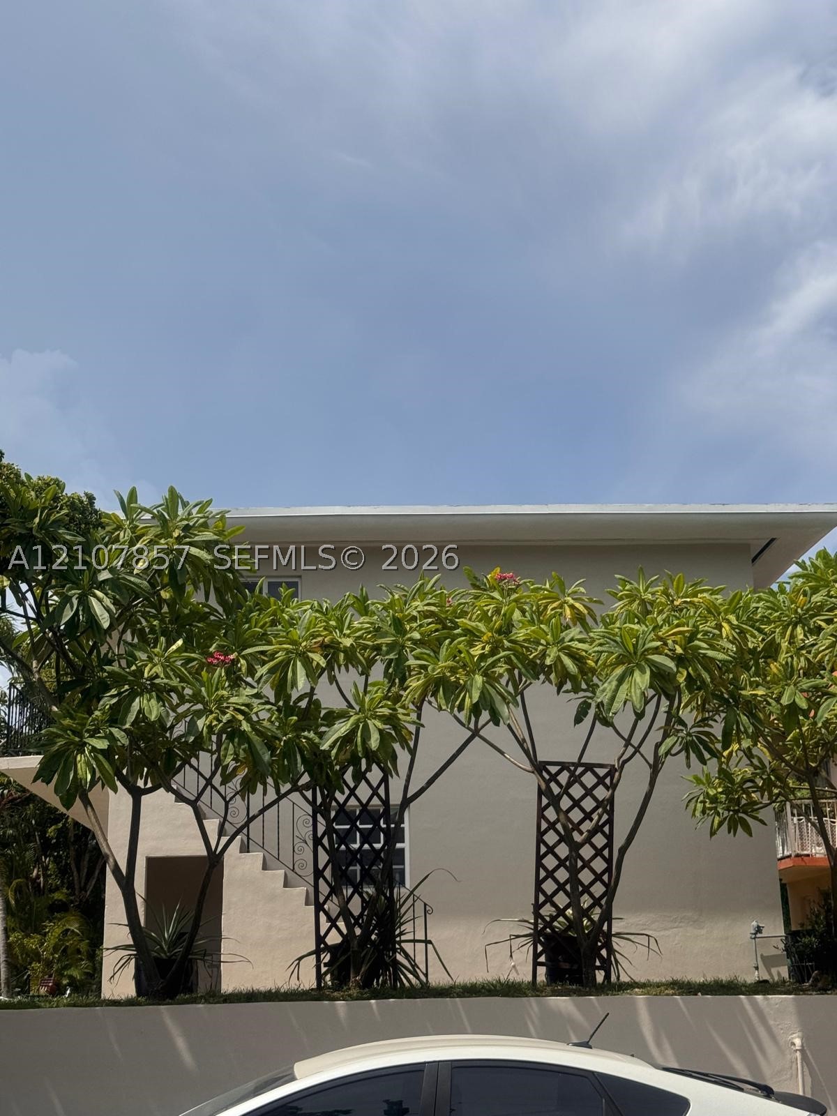 Miami photo 5