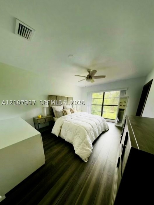 Miami photo 4