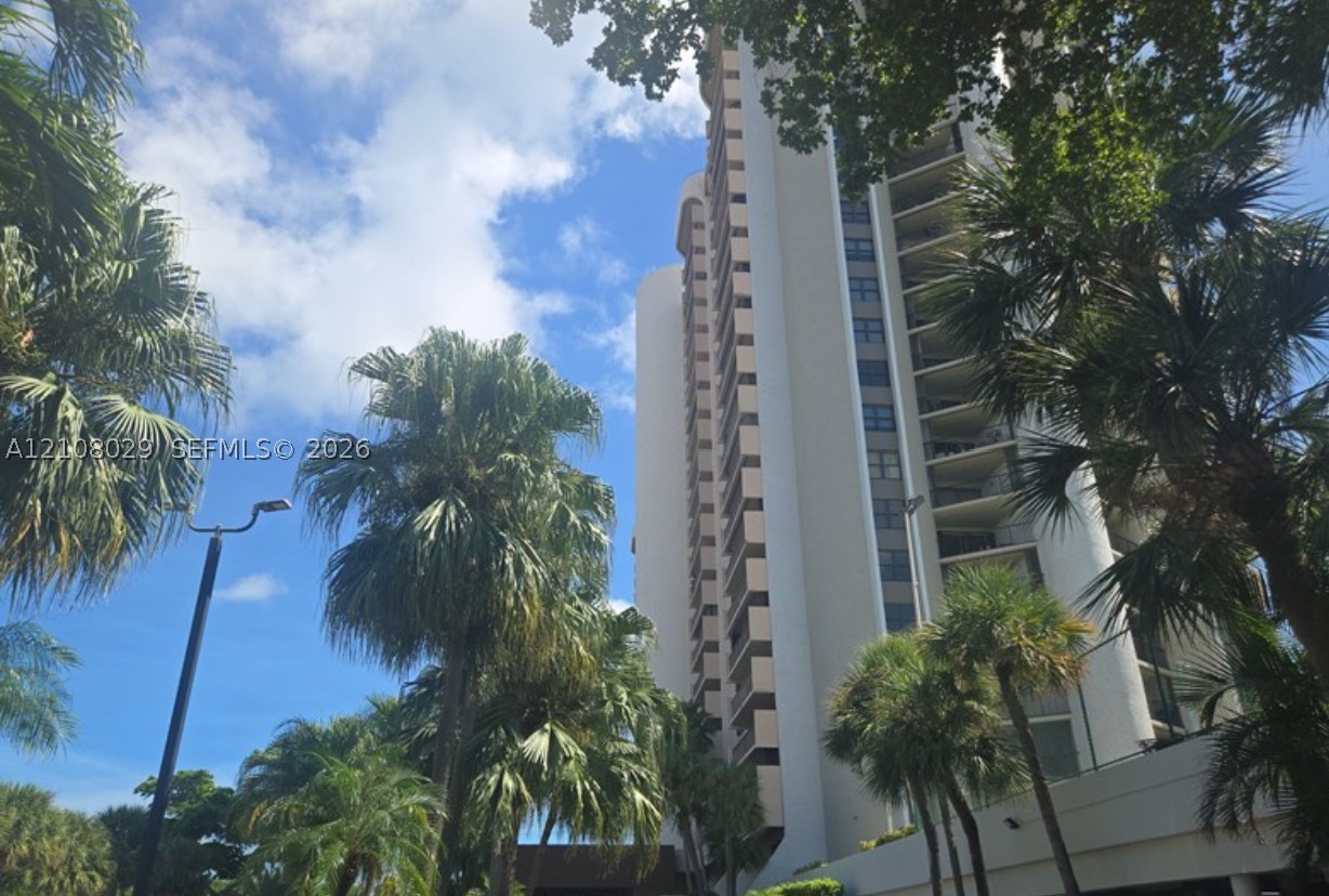Miami photo 2