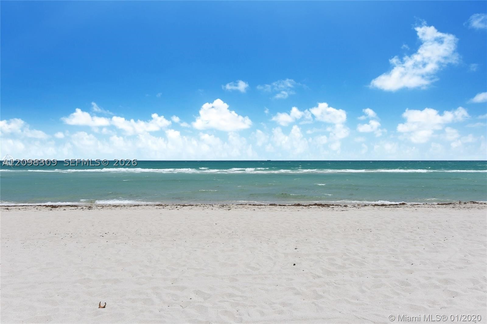 Miami Beach photo 5