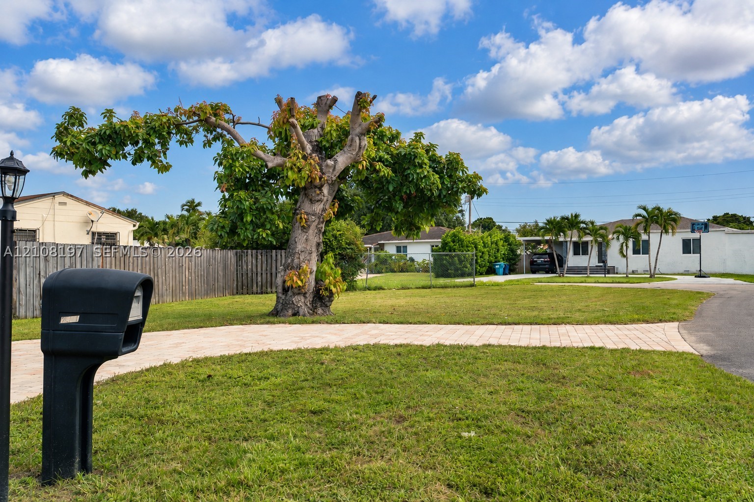 Miami photo 5
