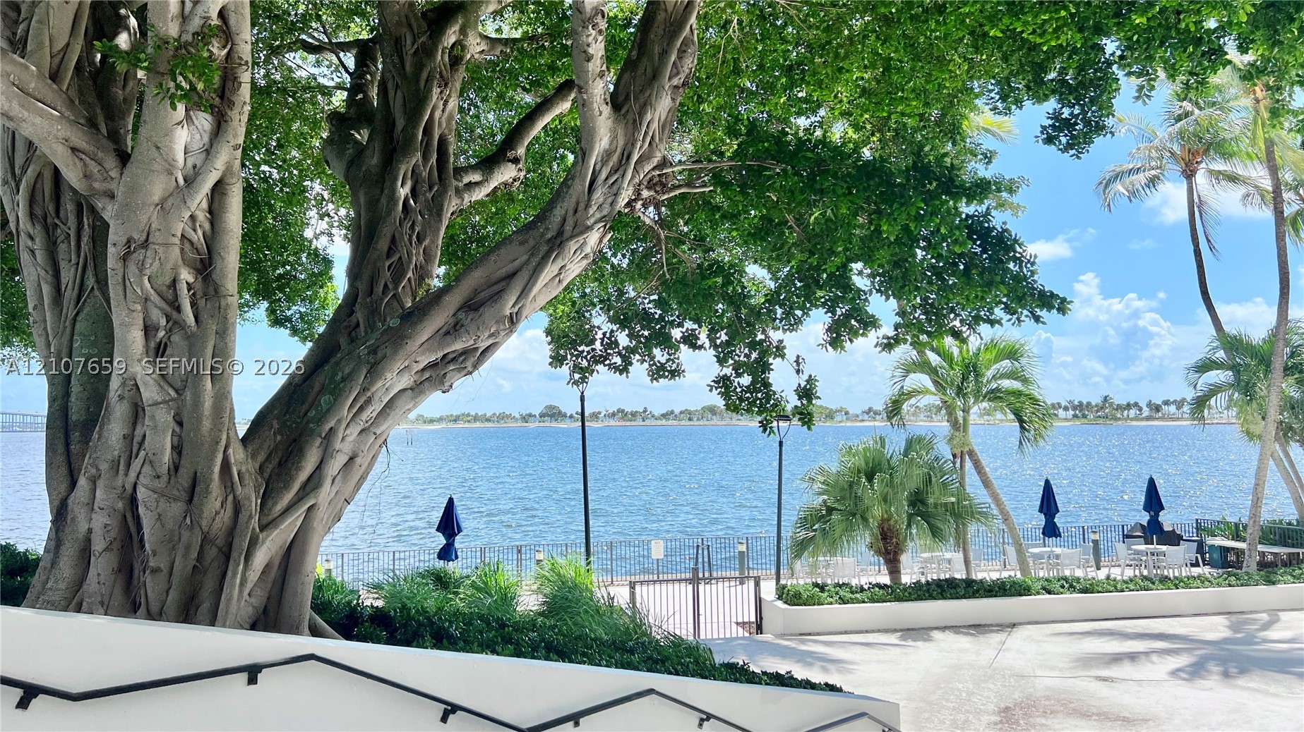Miami photo 3