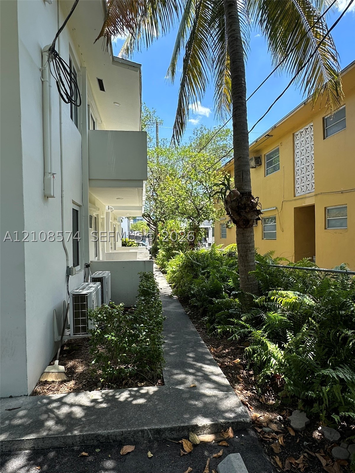 Miami photo 2