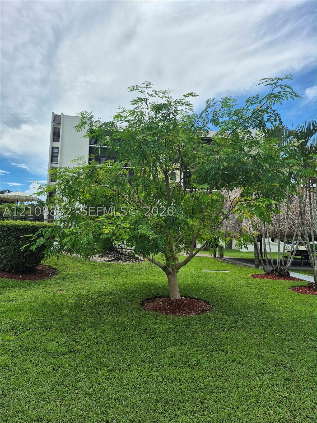Miami photo 2