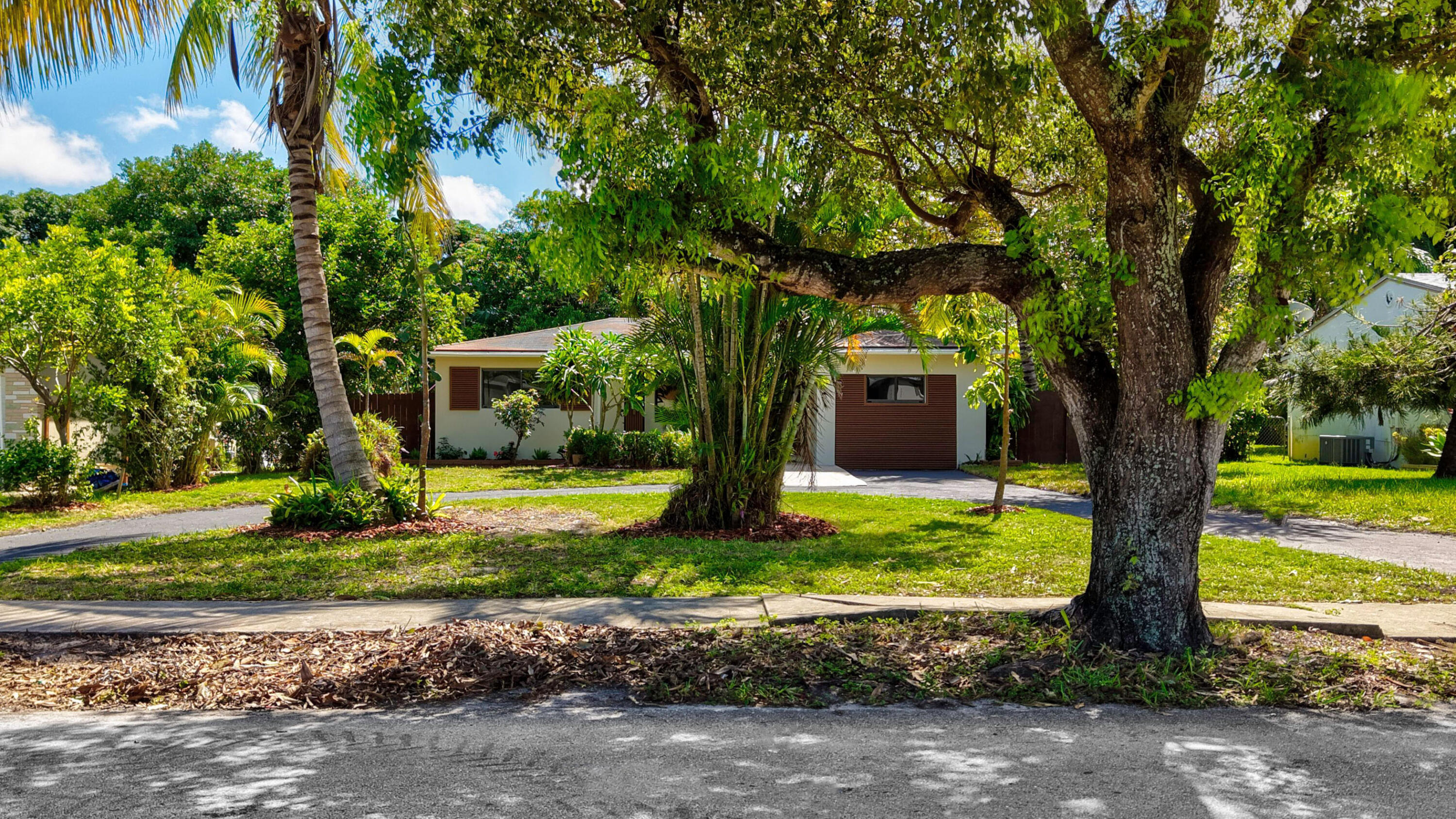 Hollywood photo 3