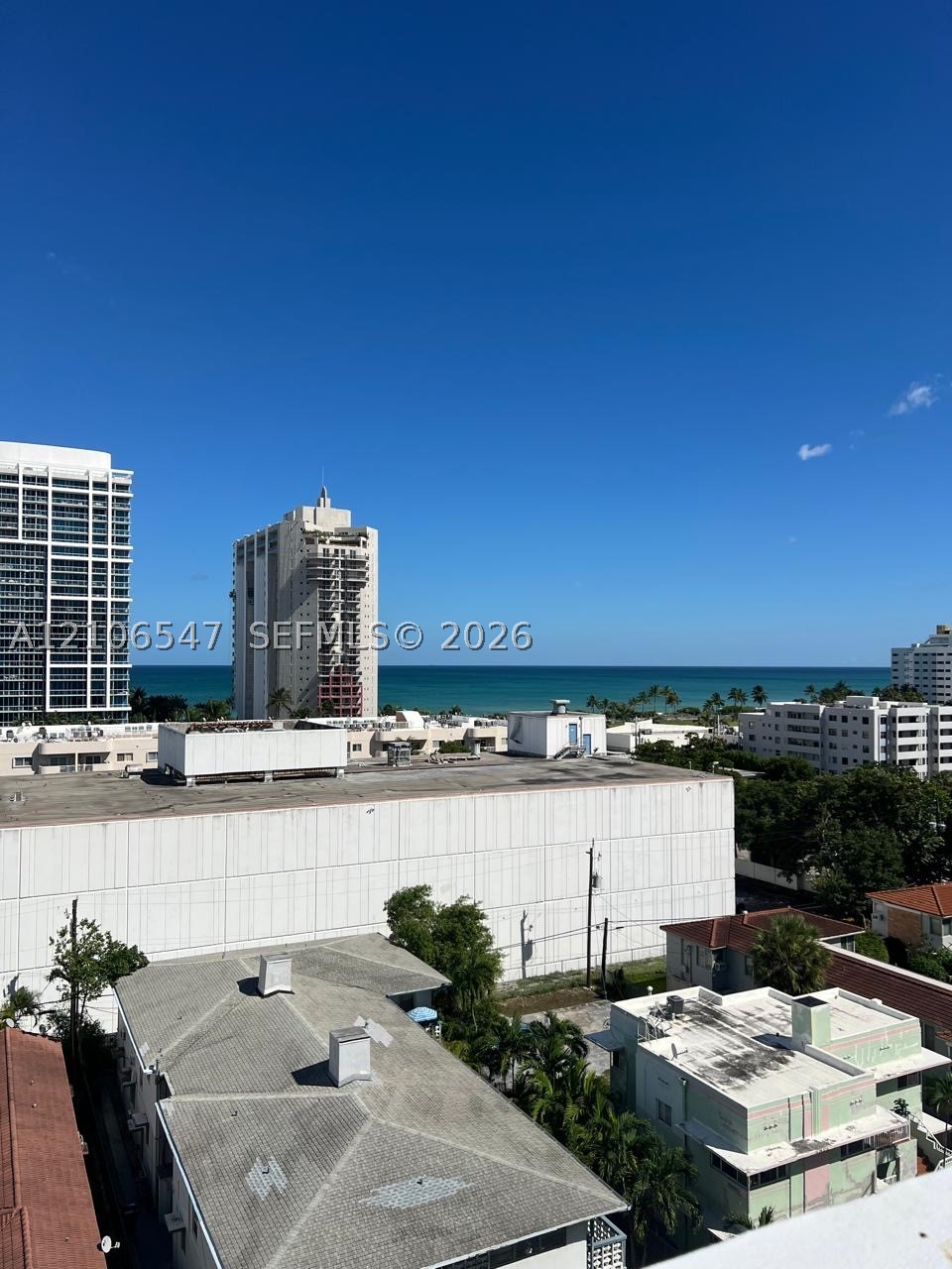 Miami Beach photo 3