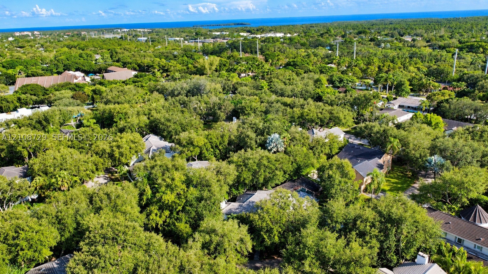 Palmetto Bay photo 5