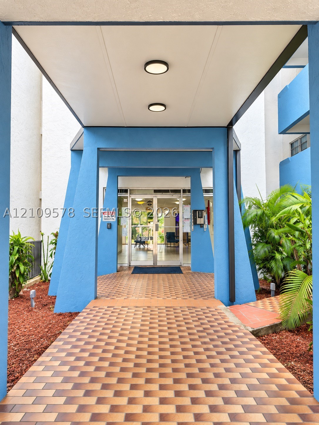 Miami photo 3