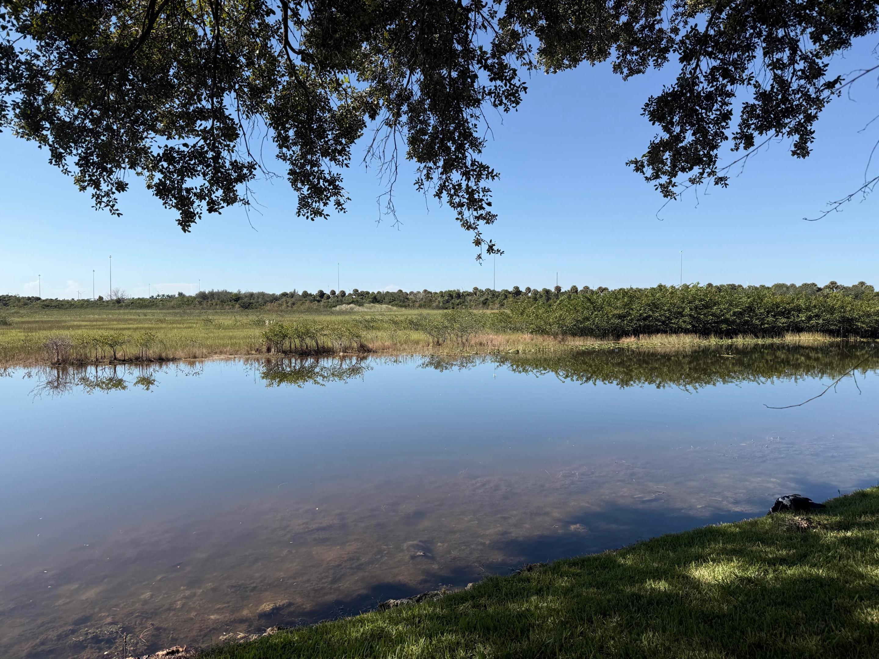 Pembroke Pines photo 4