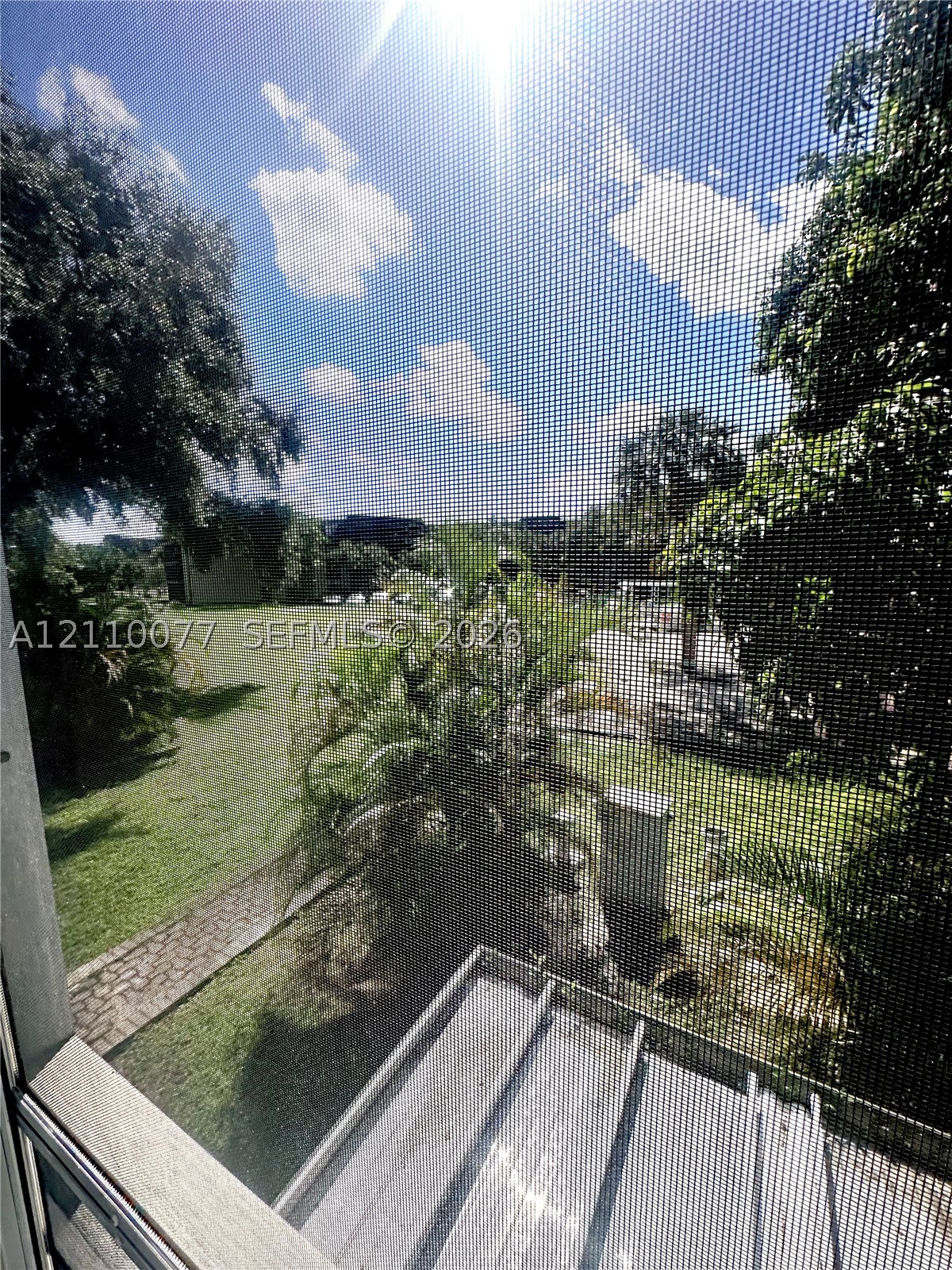 Miami photo 4