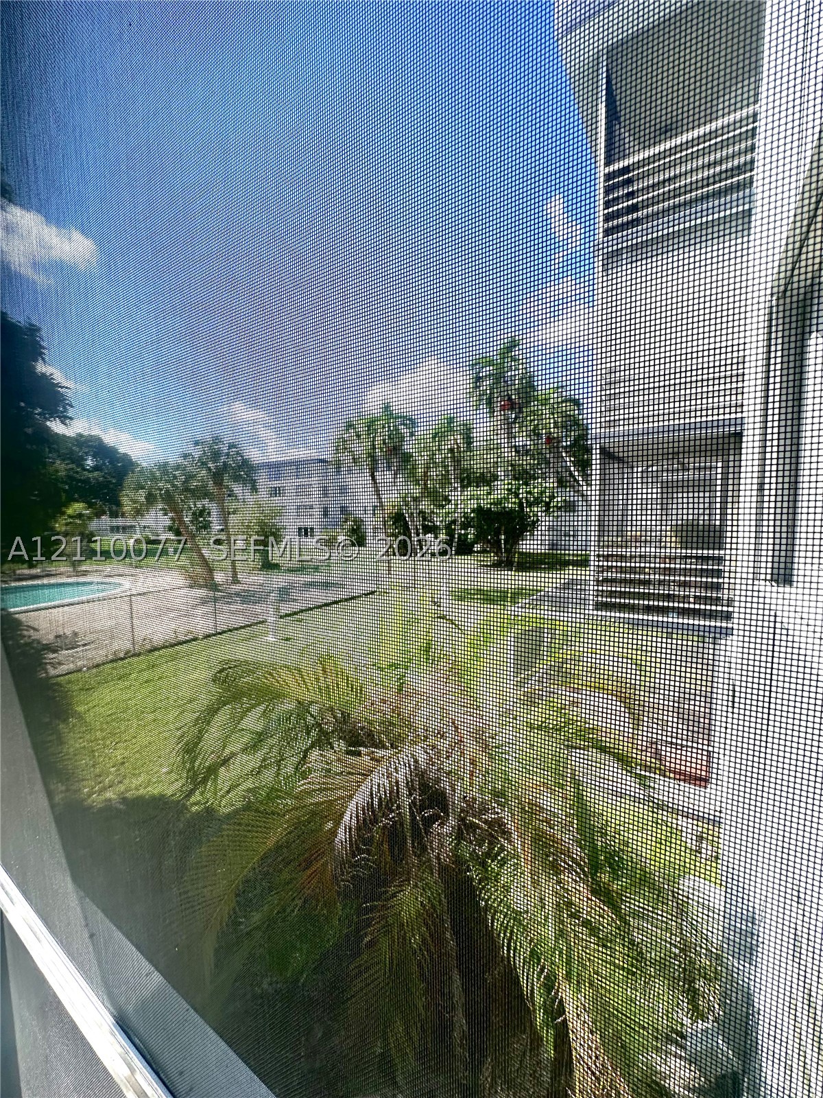 Miami photo 5