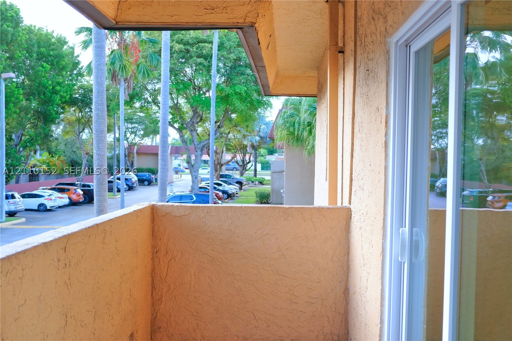 Miami photo 4