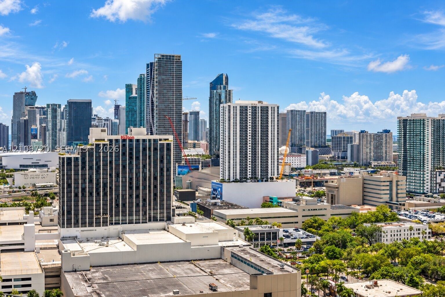 Miami photo 4
