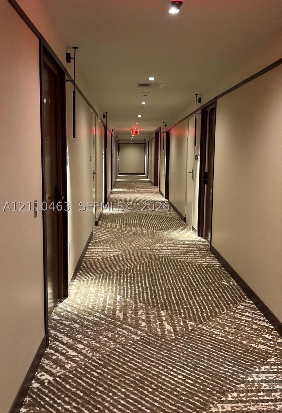 Miami photo 2