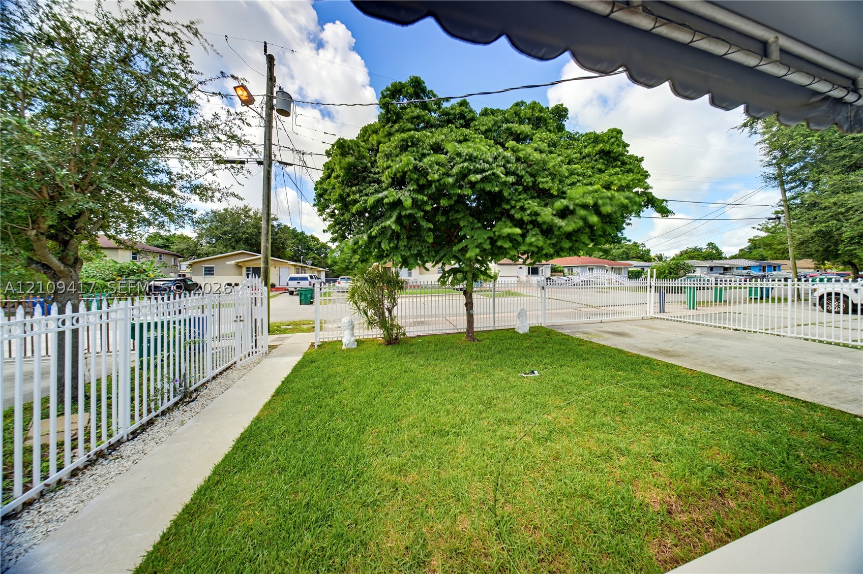 Miami photo 5