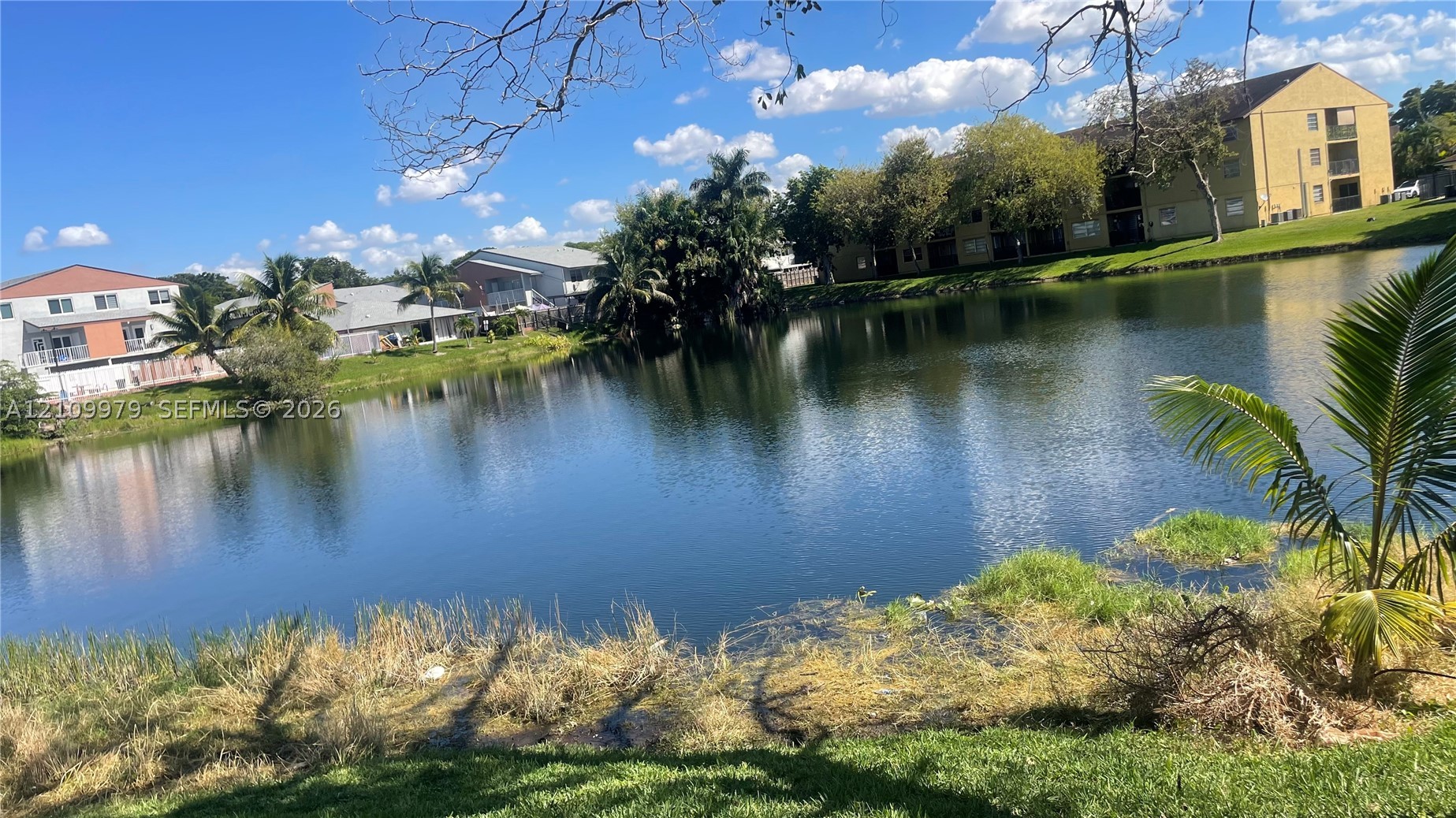 Miami photo 4