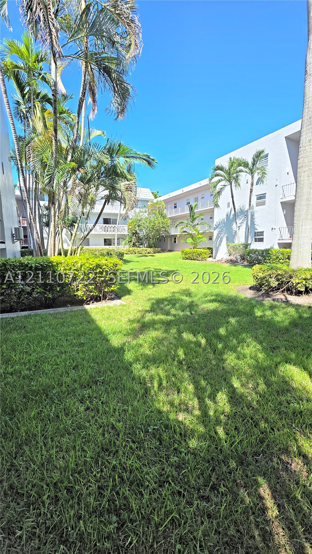 Coral Gables photo 5