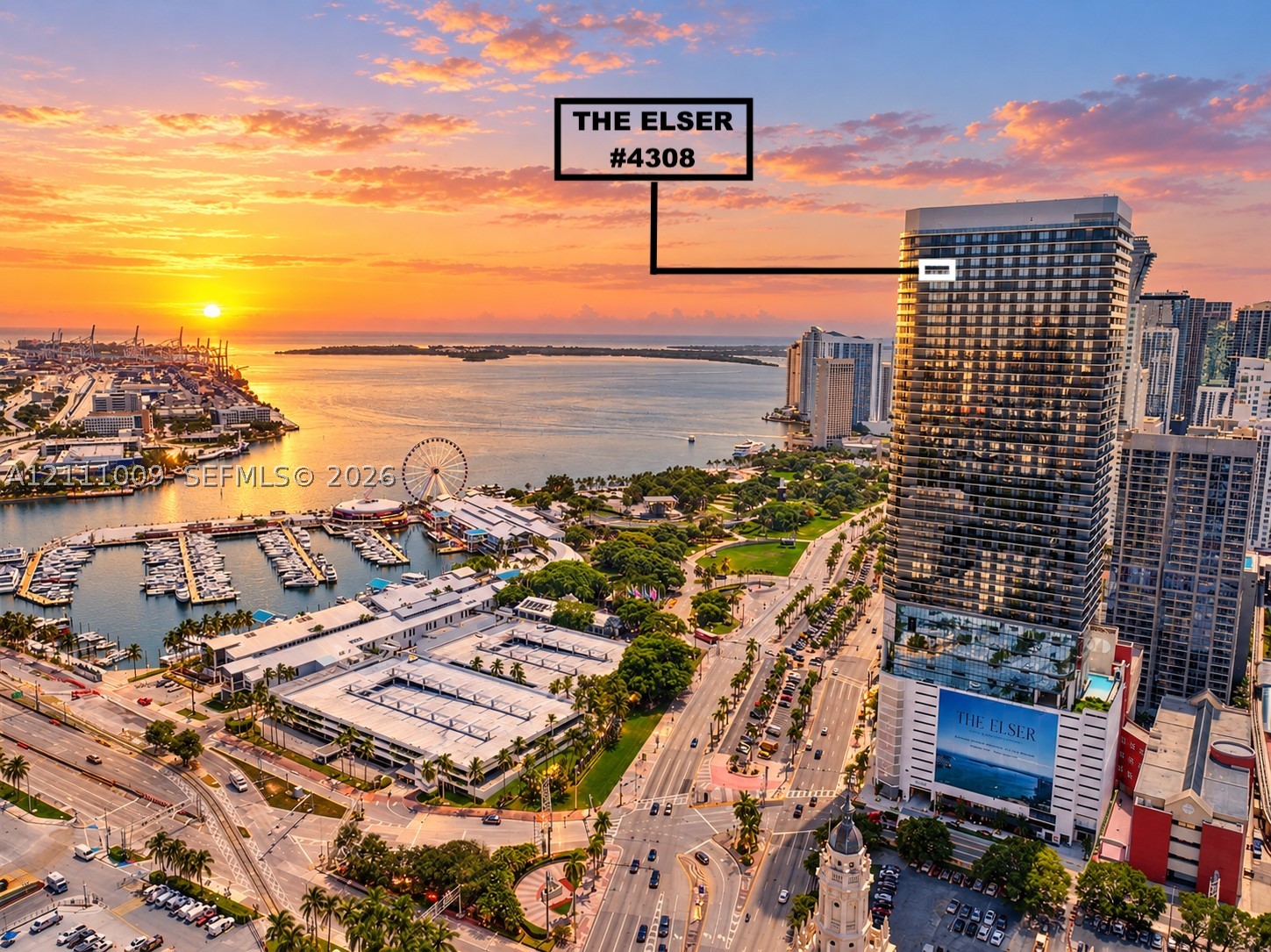 Miami photo 2