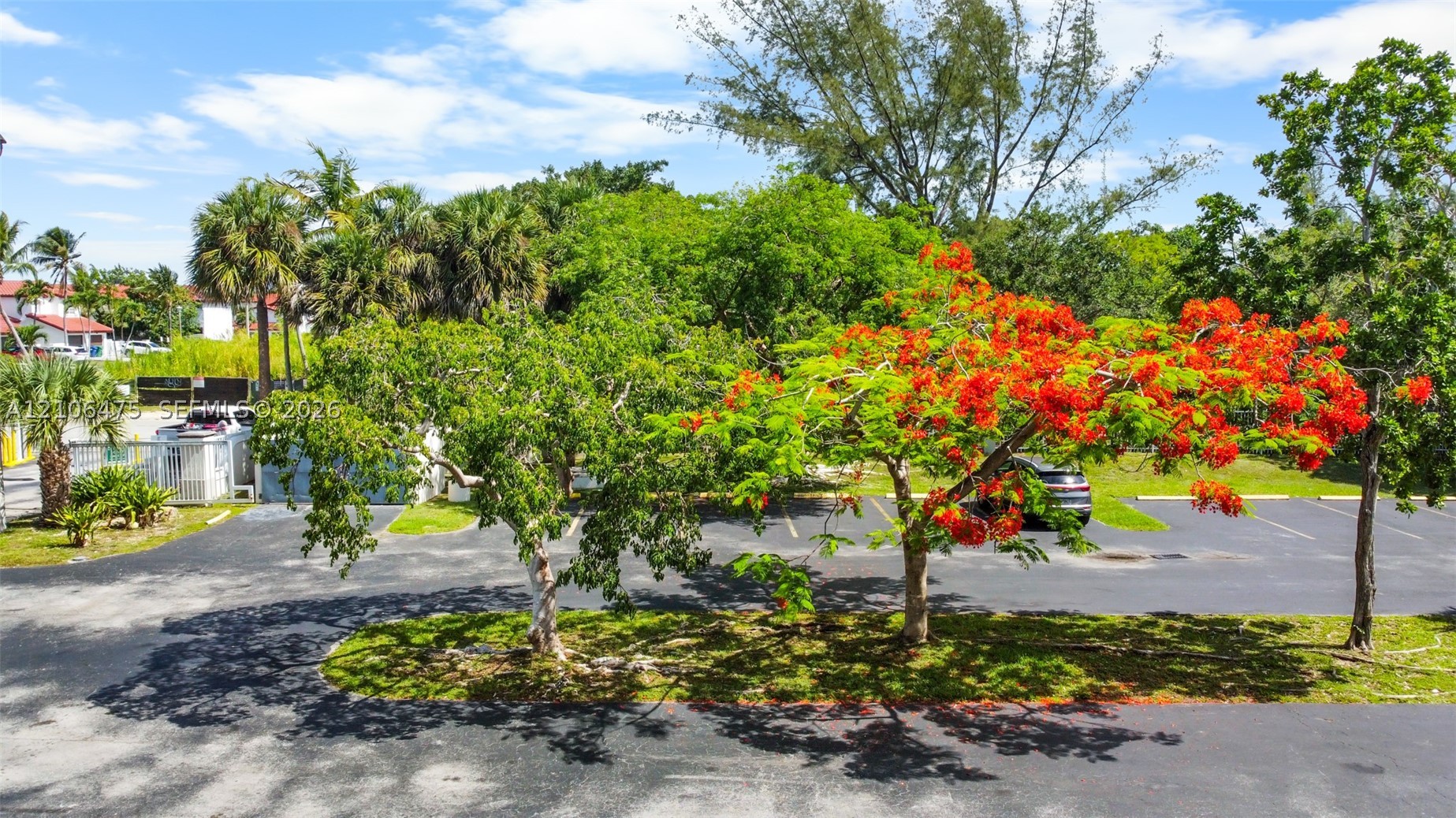 Cutler Bay photo 5