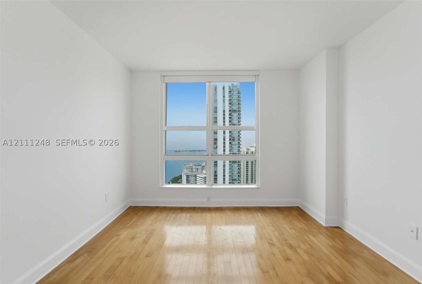 Miami photo 5