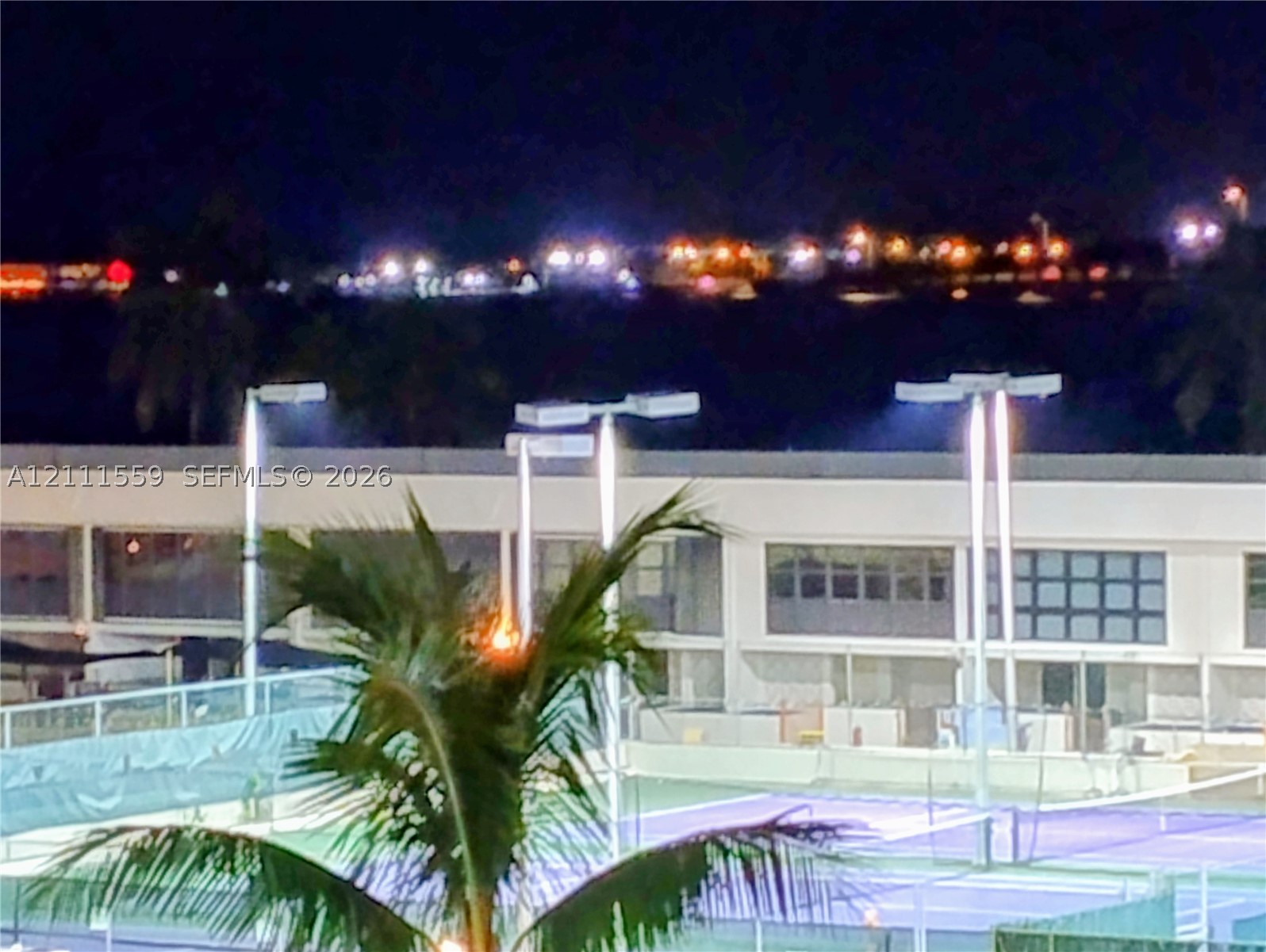 Miami photo 5
