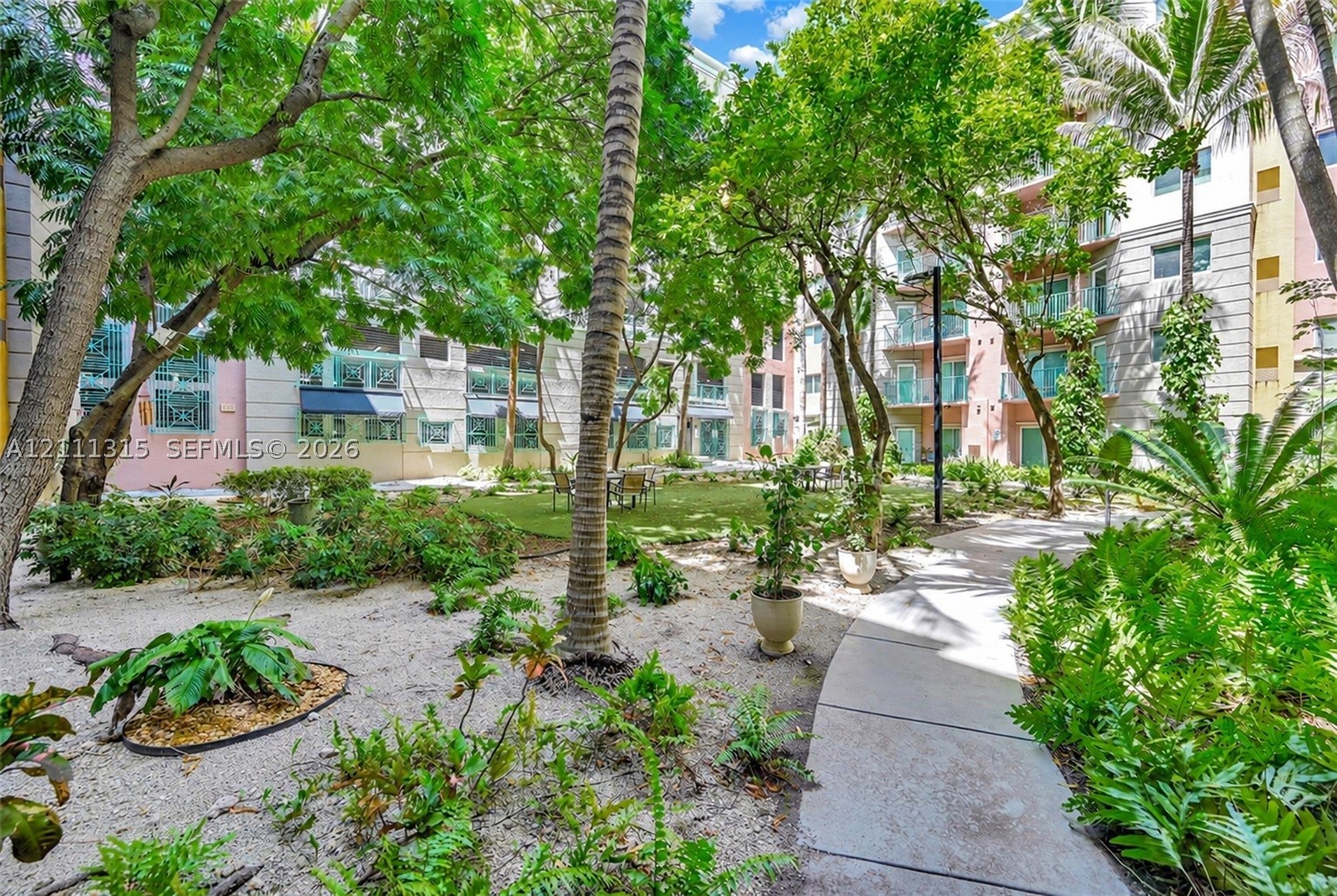 South Miami photo 4