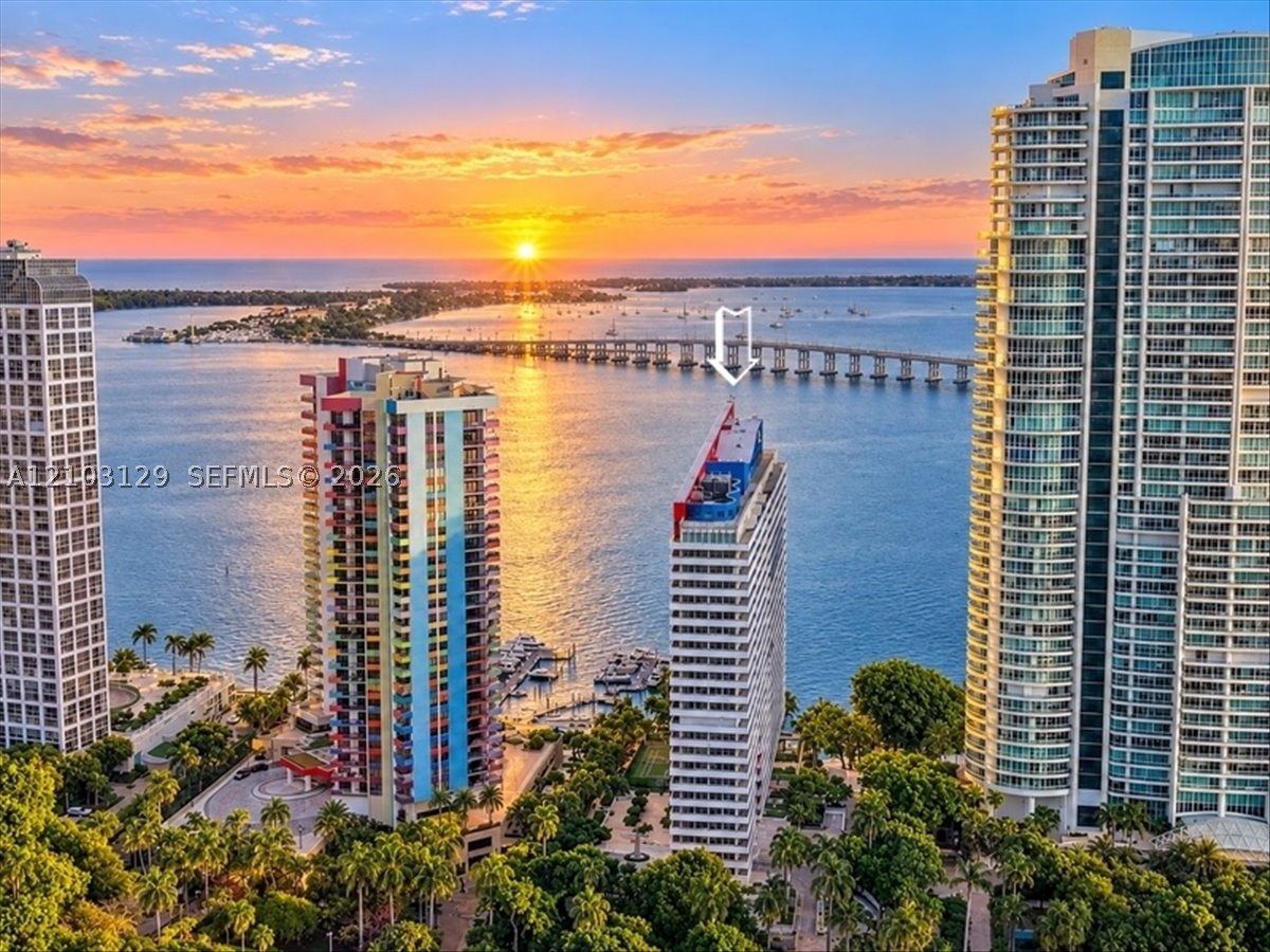 Miami photo 4