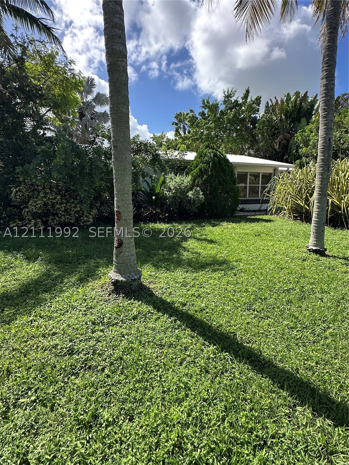 Wilton Manors photo 3