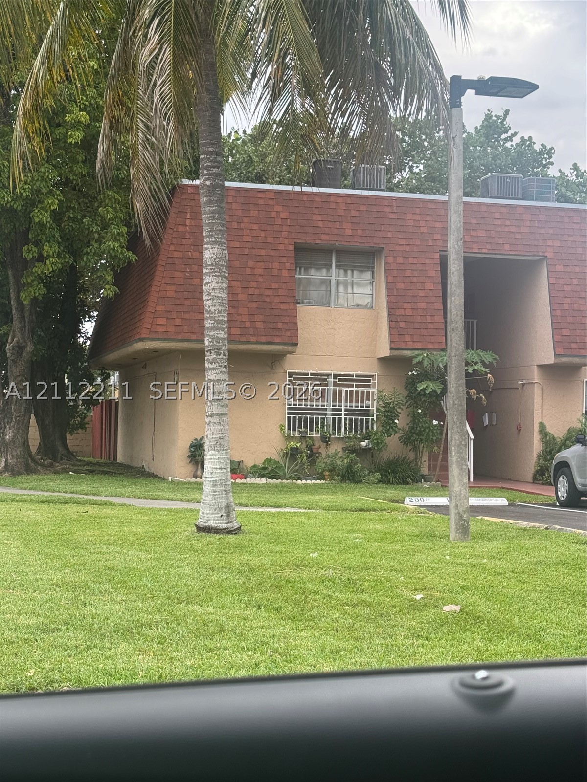 Miami photo 3