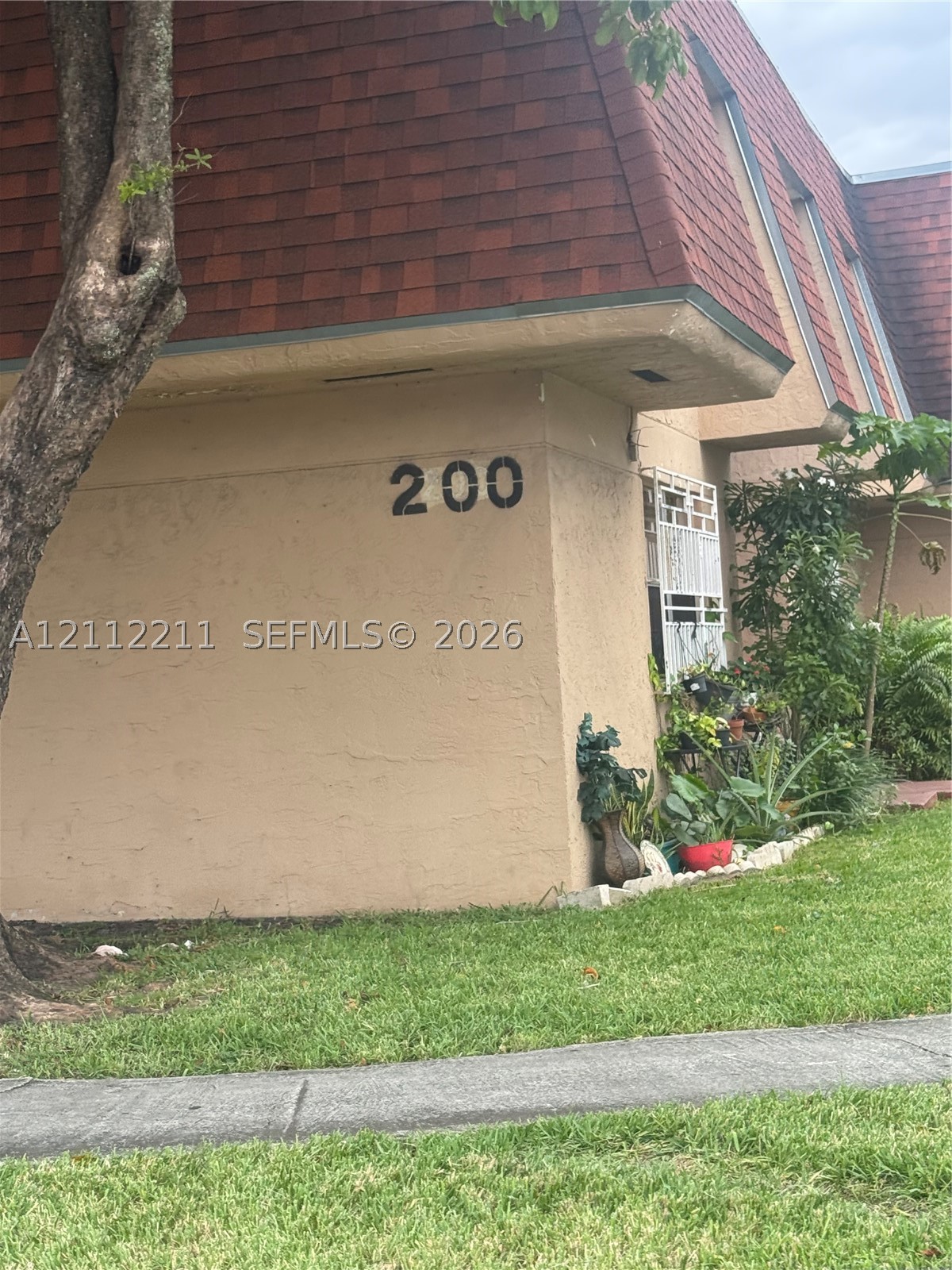 Miami photo 4