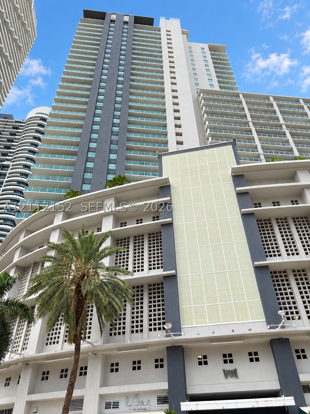 Miami photo 3