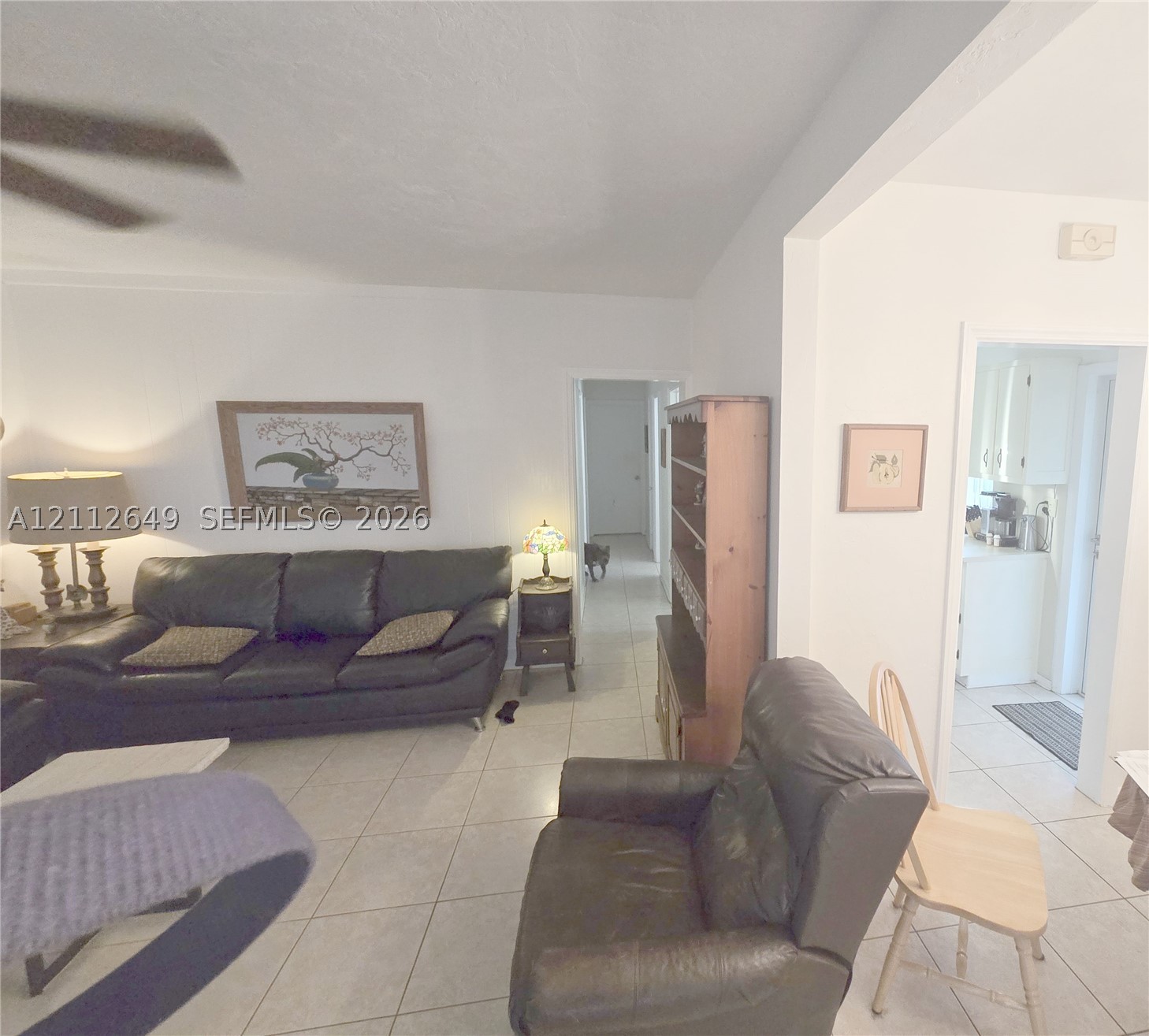 North Miami Beach photo 3