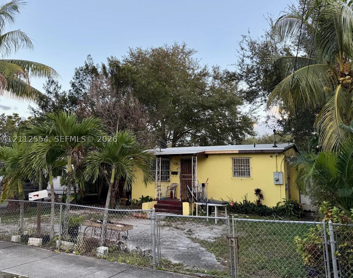 Miami photo 4