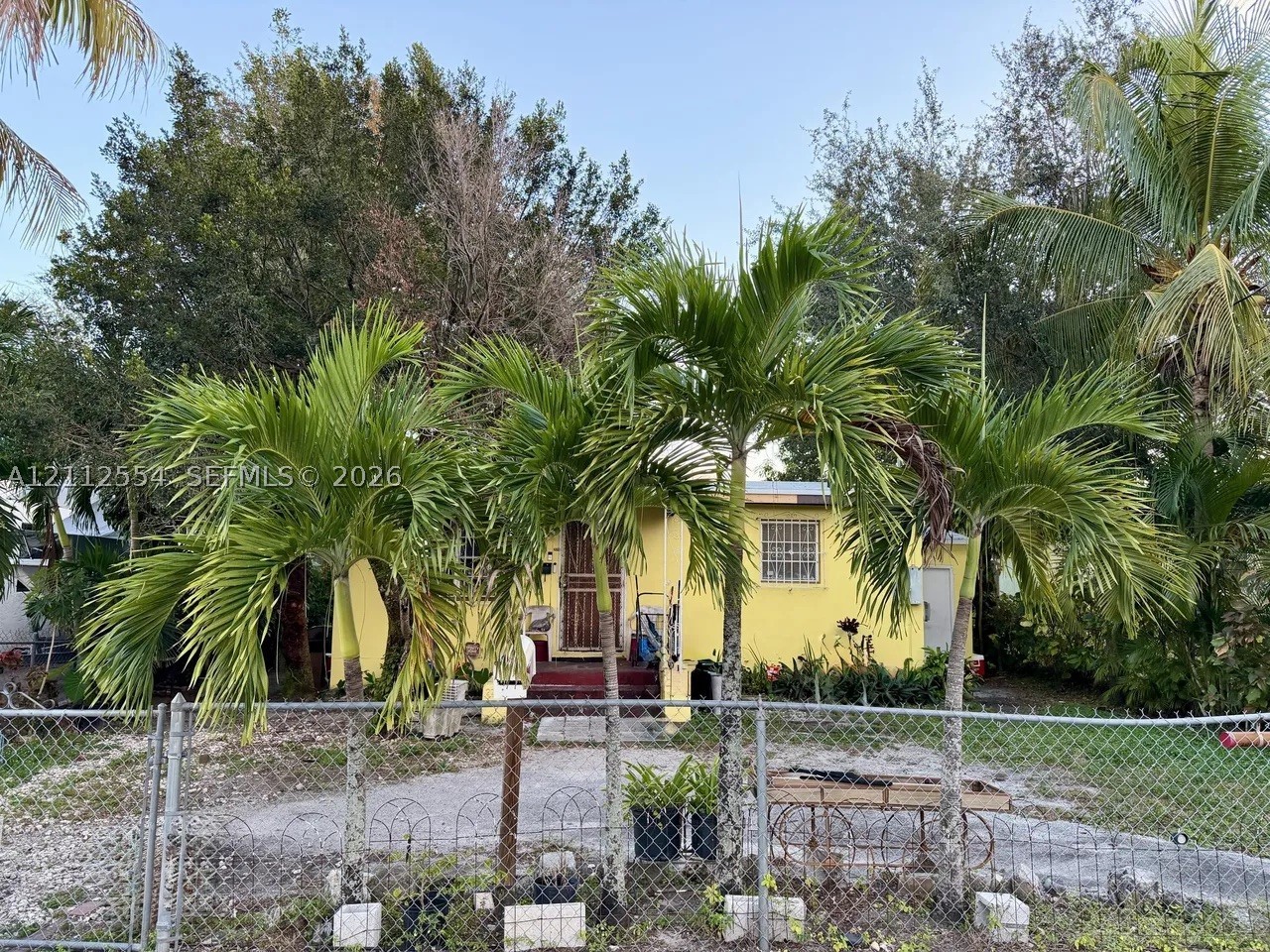 Miami photo 5