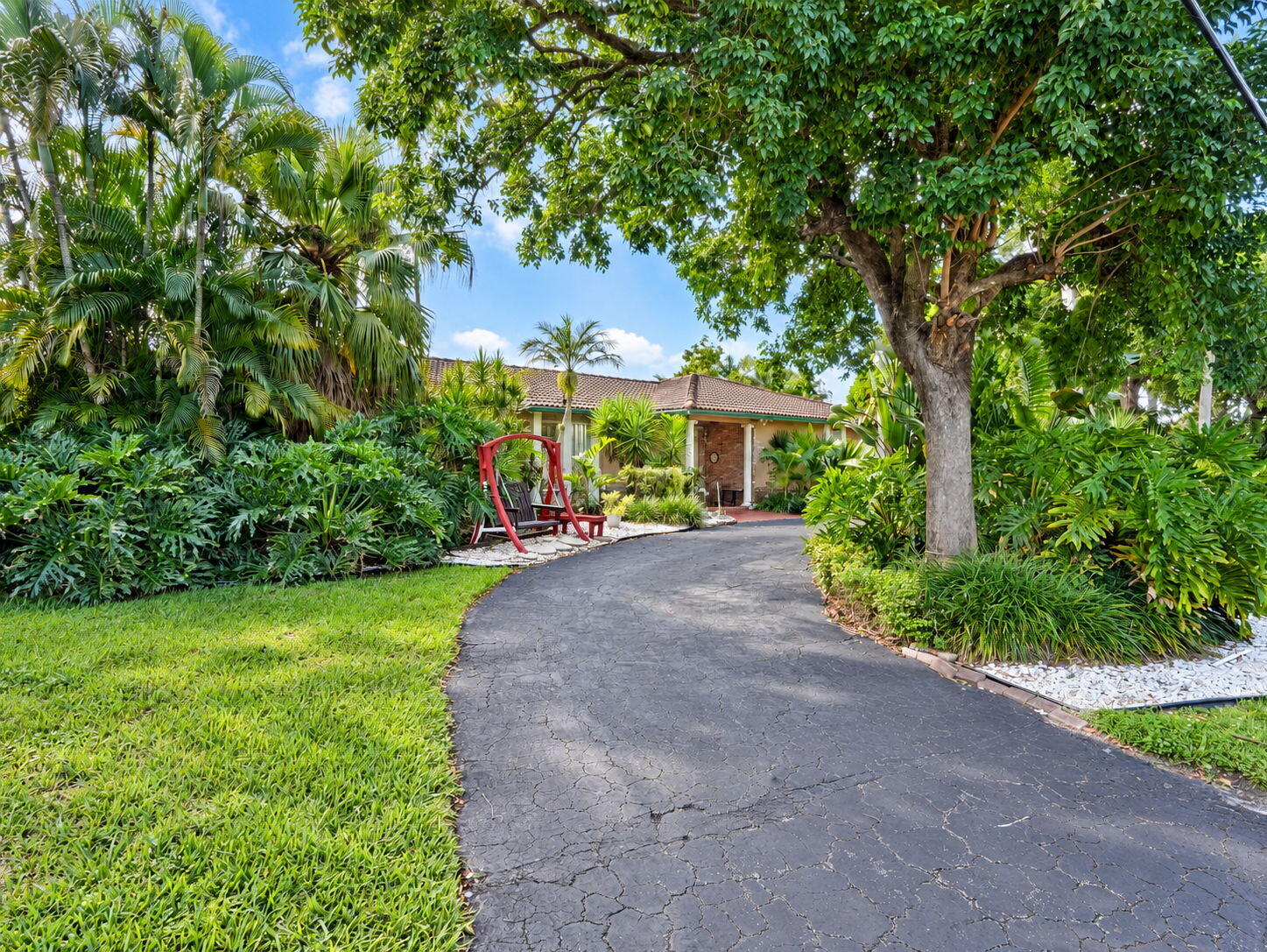 Plantation photo 2