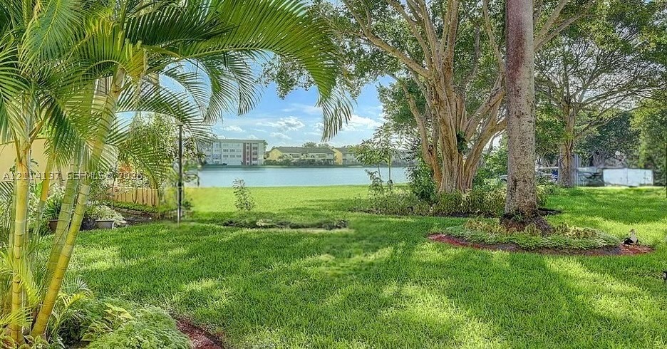 Miami photo 2