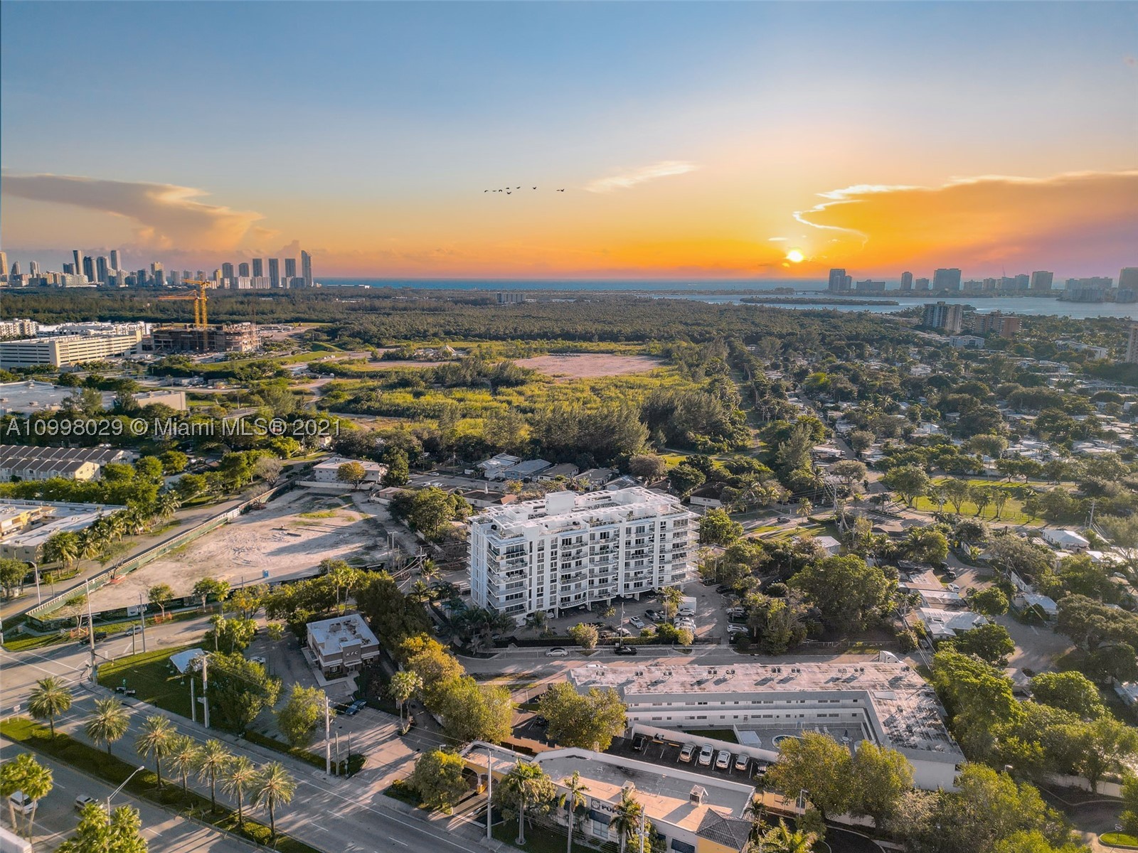 North Miami Beach photo 1